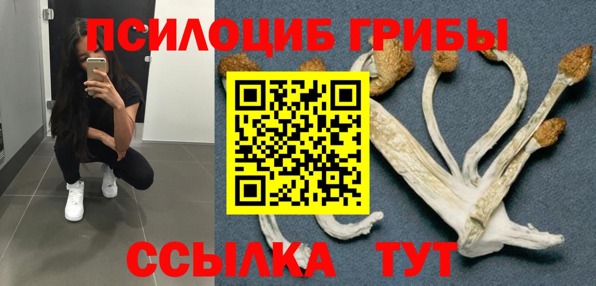 Галлюциногенные грибы Psilocybine cubensis Людиново